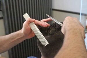Friseur-Azubi-Sirvan-Muradi-bei-POPHAIR-Leipzig-10-300x200