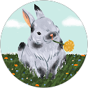 Profilbild von „Melle“